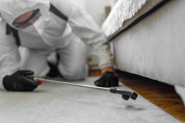 Professional Bed Bug Control technician working in Fluvanna County County, VA